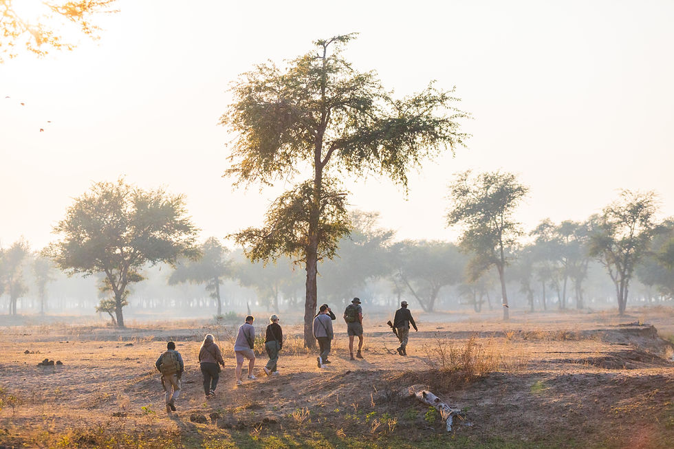 A walking safari scene at Kutali Camp