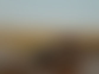 South Luangwa vs North Luangwa – what’s the difference?