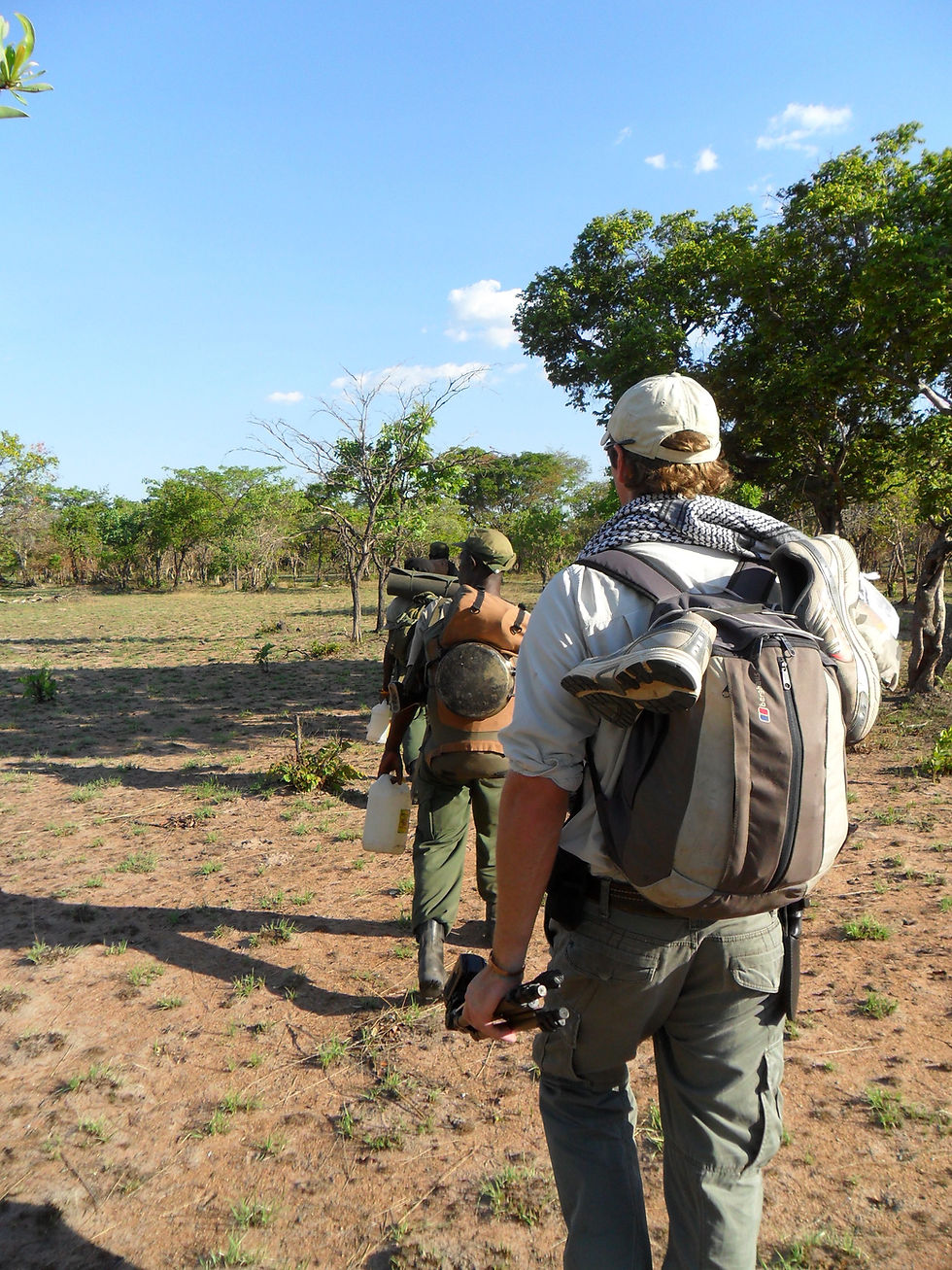 An exploratory walk with Phil Jeffery, surveying potential road routes for access to Musekese Camp