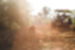 A pride of lions at sunrise as a family enjoy the sighting from a safari game drive vehicle