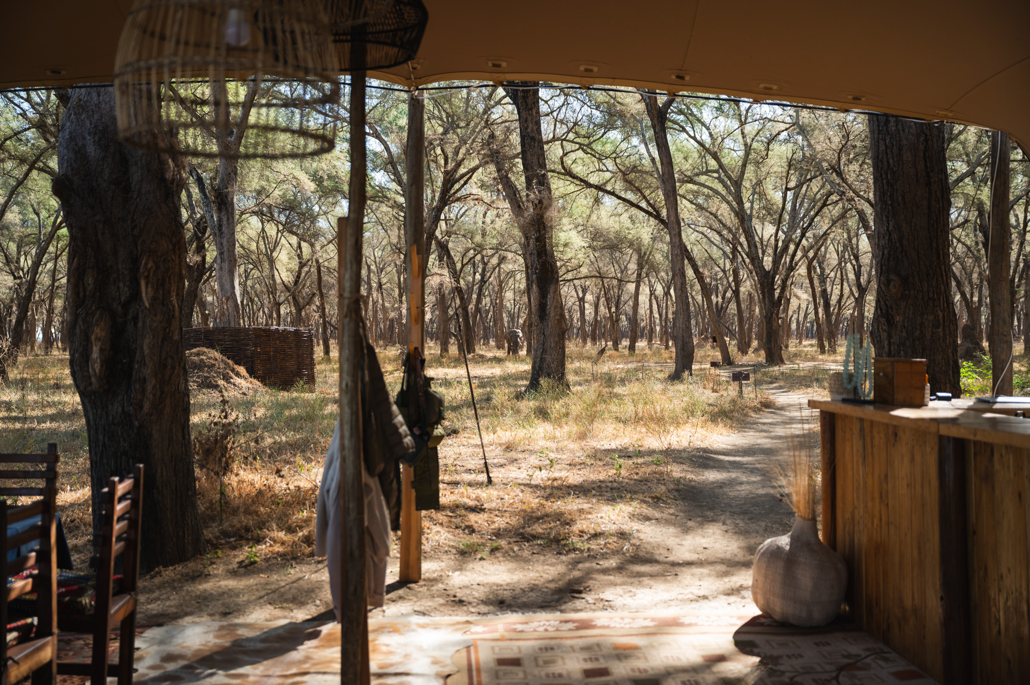 Accommodation and guest areas at Kutali Camp