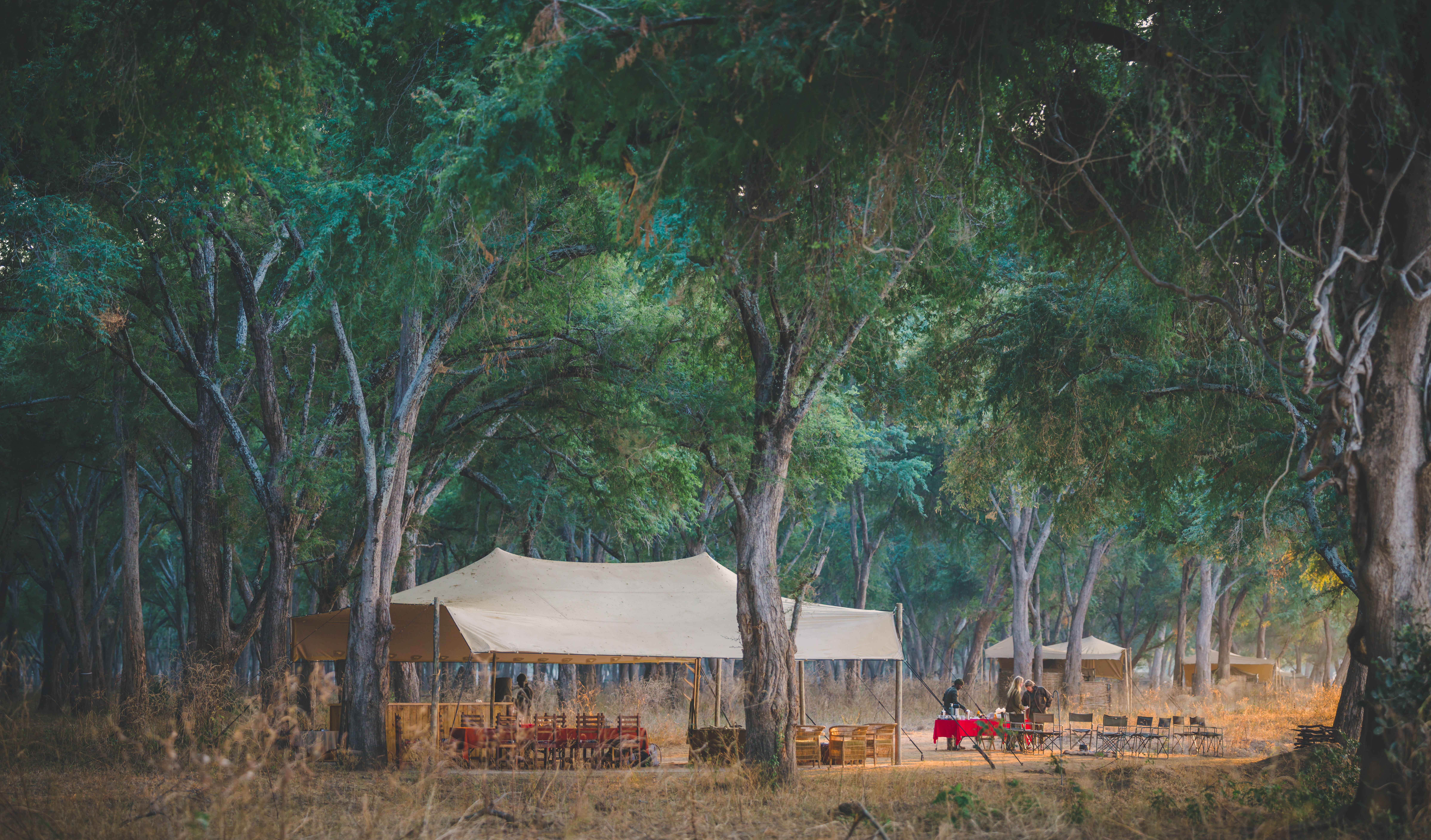 Accommodation and guest areas at Kutali Camp