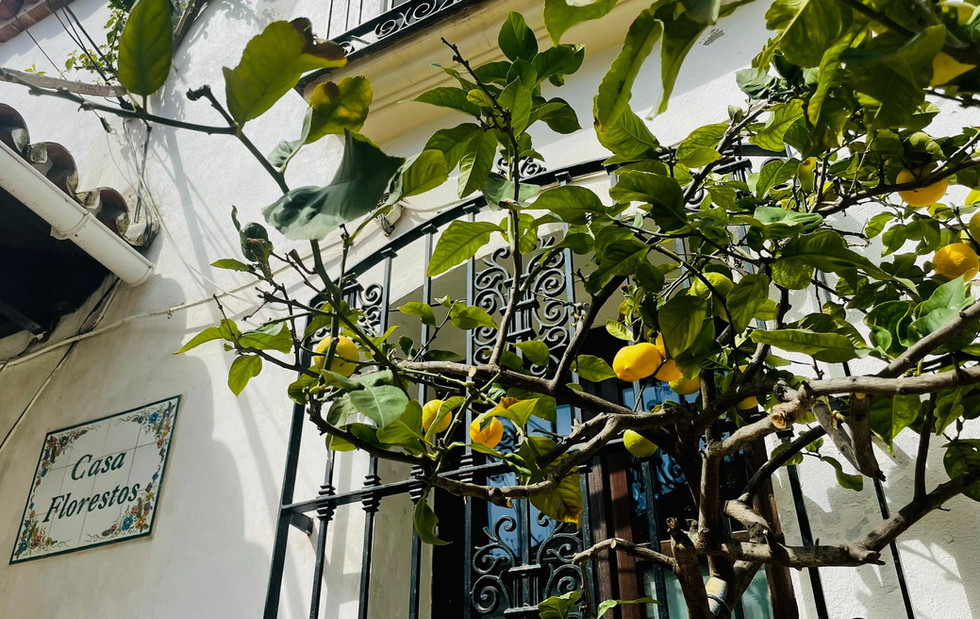 WhatsApp Image 2022-03-21 at 14.05.34.jpeg