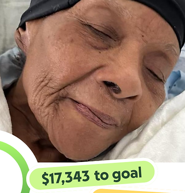 gofundme photo.png