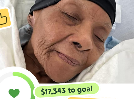 gofundme photo.png
