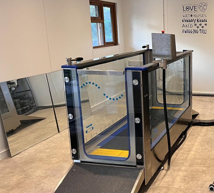 Canine Water Treadmill K9 Water Treadmill Priory Farm England