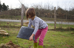 Pôlexxi_Haie_Comestible_Plantation-1--3