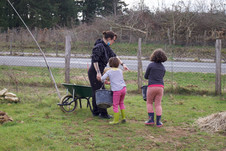 Pôlexxi_Haie_Comestible_Plantation-1--1