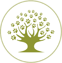 Countrylife logo