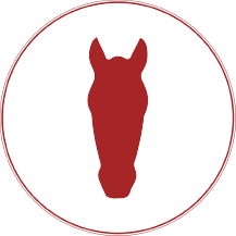 Hippo Tv logo