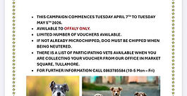 SPECIAL Neutering Campaign for Female Dogs