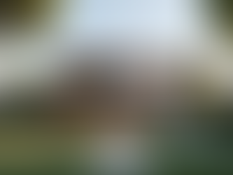 Testimonios de Clientes Satisfechos en Bienes Raíces