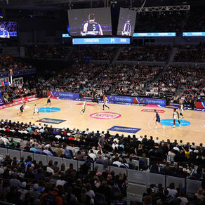 Supporting Sustainable Governance in the NBL