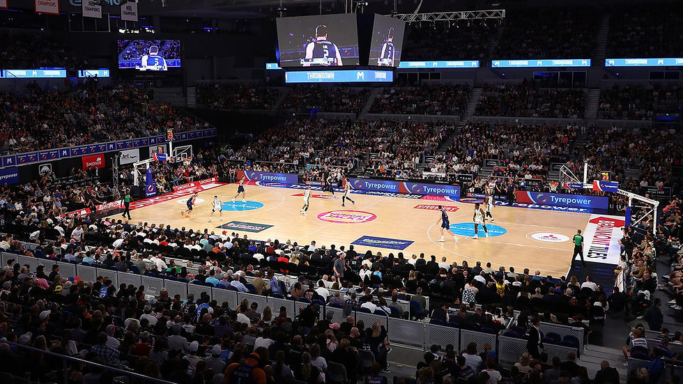 Supporting Sustainable Governance in the NBL