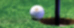 Serengeti Golf ball with lion logo on green