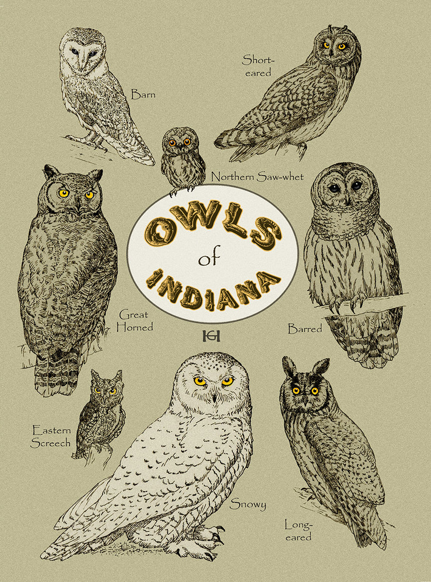 Owls of Indiana