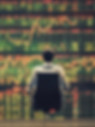 stock market quant.jpg