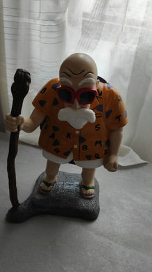 Maestro Roshi.jpeg