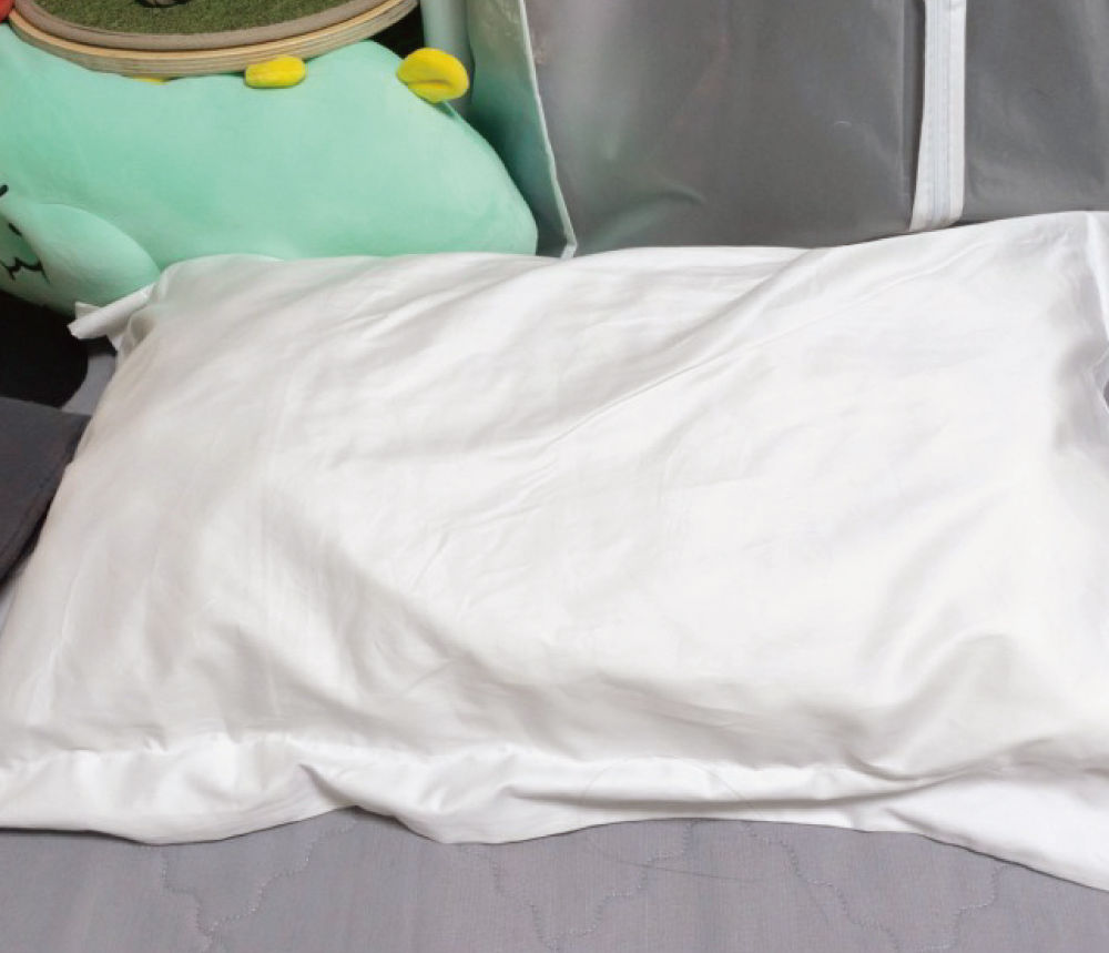 Pillow placed in a typical home bedroom.