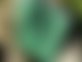 Sortie du livre "Réhabiter"