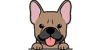 cute-fawn-french-bulldog-puppy-cartoon-v