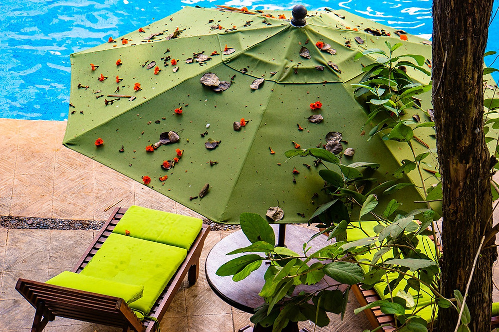 tray leaves rest atop a patio umbrella that is near a pool