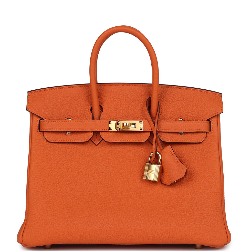 Hermès Birkin 25 Orange Togo Gold Hardware