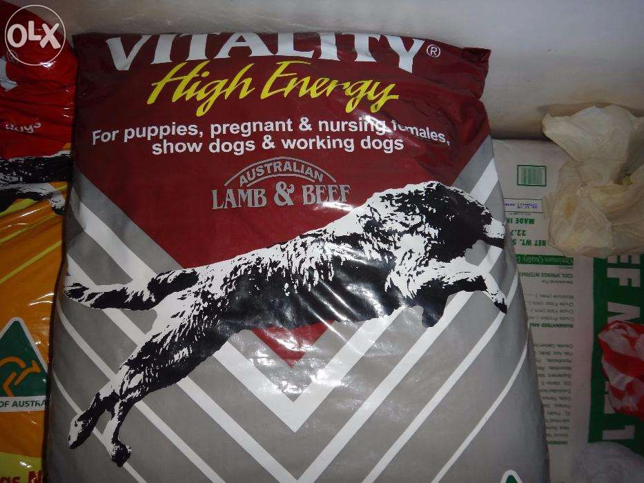 Vitality Puppy