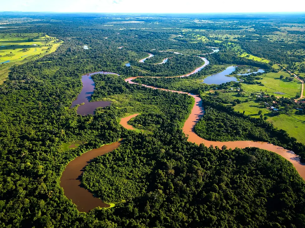 BIODIVERSIDADE