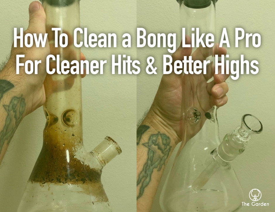 Clean a Bong