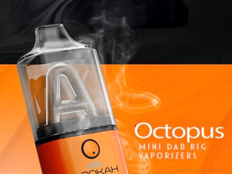 The Market Dynamics of Mini Electric Dab Rigs: A Professional Insight for Experienced Cannabis Consumers and Smoke Shops