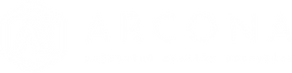 Arcona X-Reality Metaverse