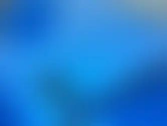 Ceramic Coating vs. Wax: Making the Right Choice for Your Vehicle