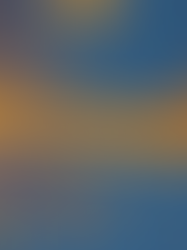 How To Create A Social Media Strategy for Your Business