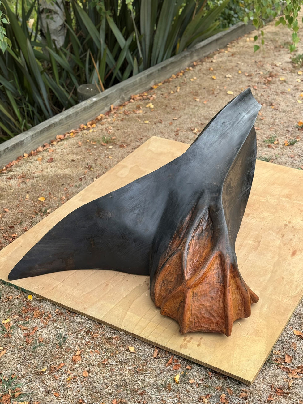 Balance Artwork using using laminated macrocarpa