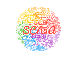 SCN2A wordcloud