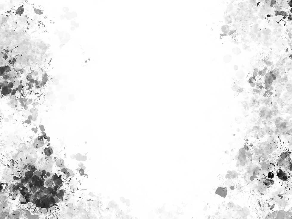 IMG_1850.png