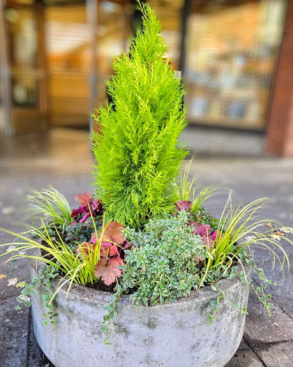 A little "after and before" of a winter container commissioned by a popular retail store in downtown Portland.