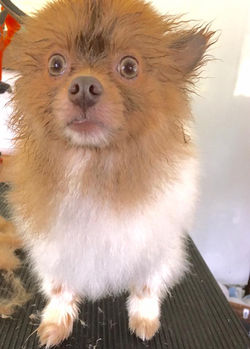 Precious _____ 06/18/2016