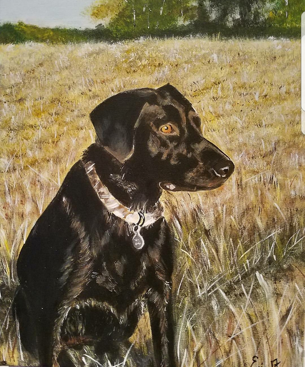 Thumbnail: Pet portrait 