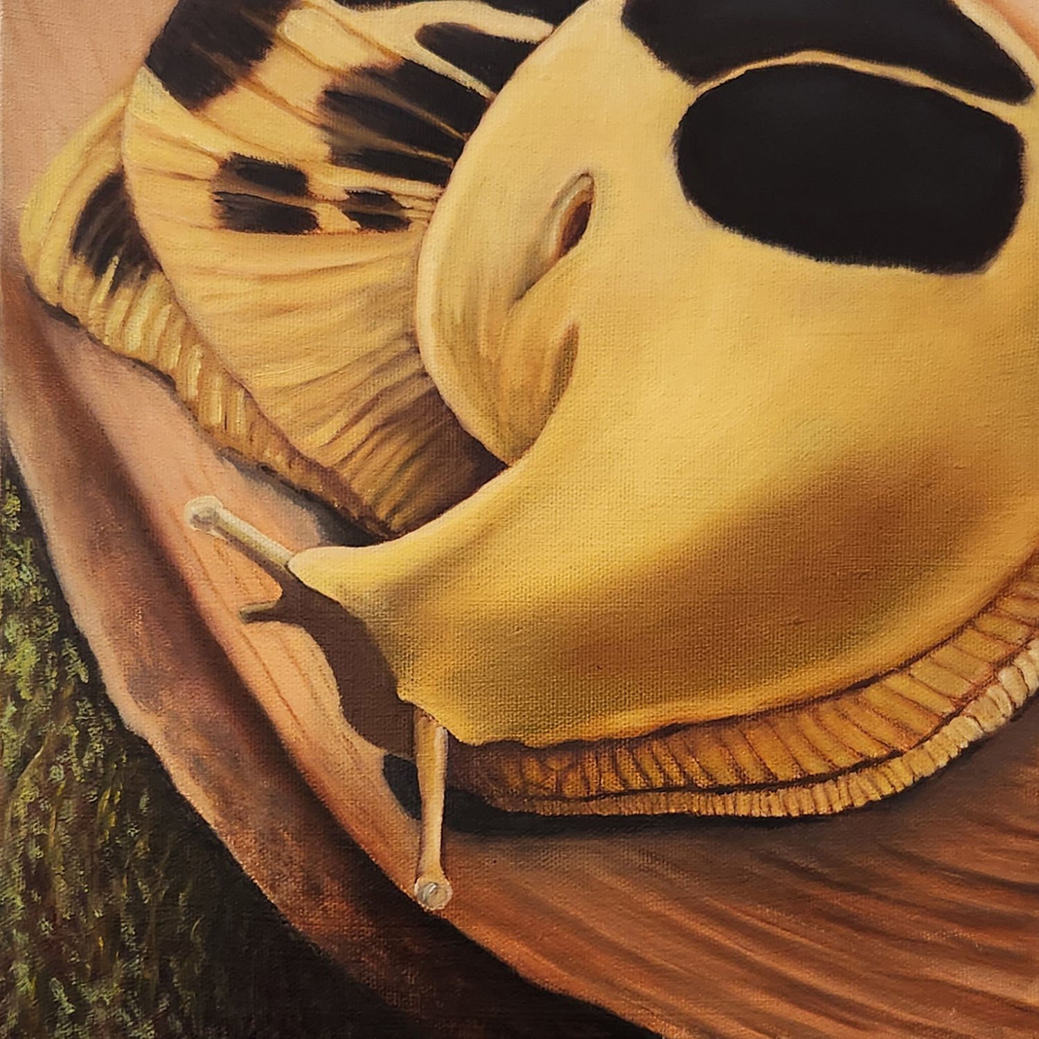 Giant of the Forest Floor | by Meg Bryden