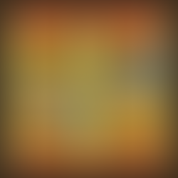 Why The Four Agreements Is a Must-Read for Today’s Business Owner