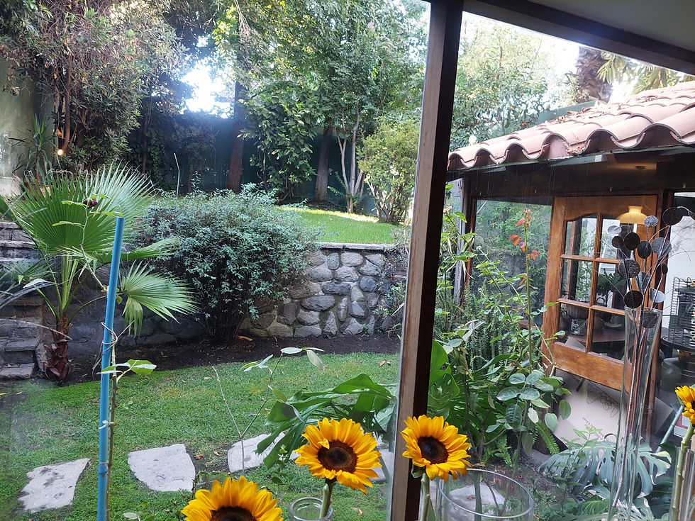 23 JardÃn y terraza salida comedor