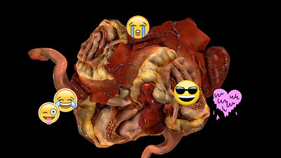 Ian Haig - organphilia 1.jpeg