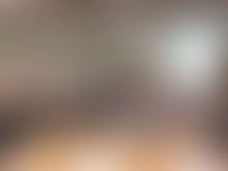 龍生園ノンテク研修Day12で講演