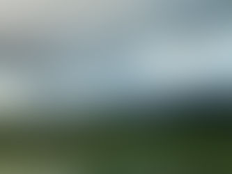 龍生園管理者研修Day3で講演