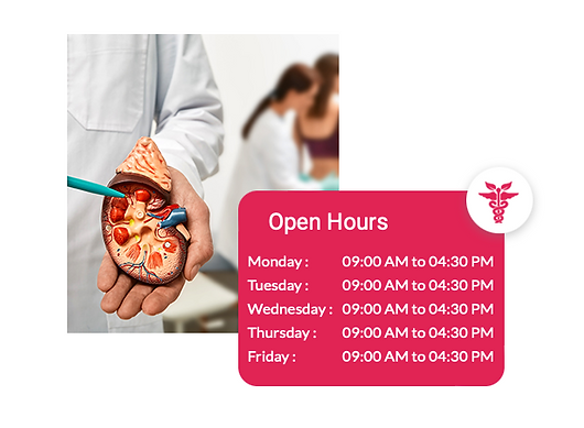 North Atlanta Kidney Specialists