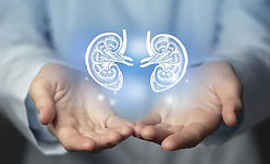 Services_Nephrotic Syndrome