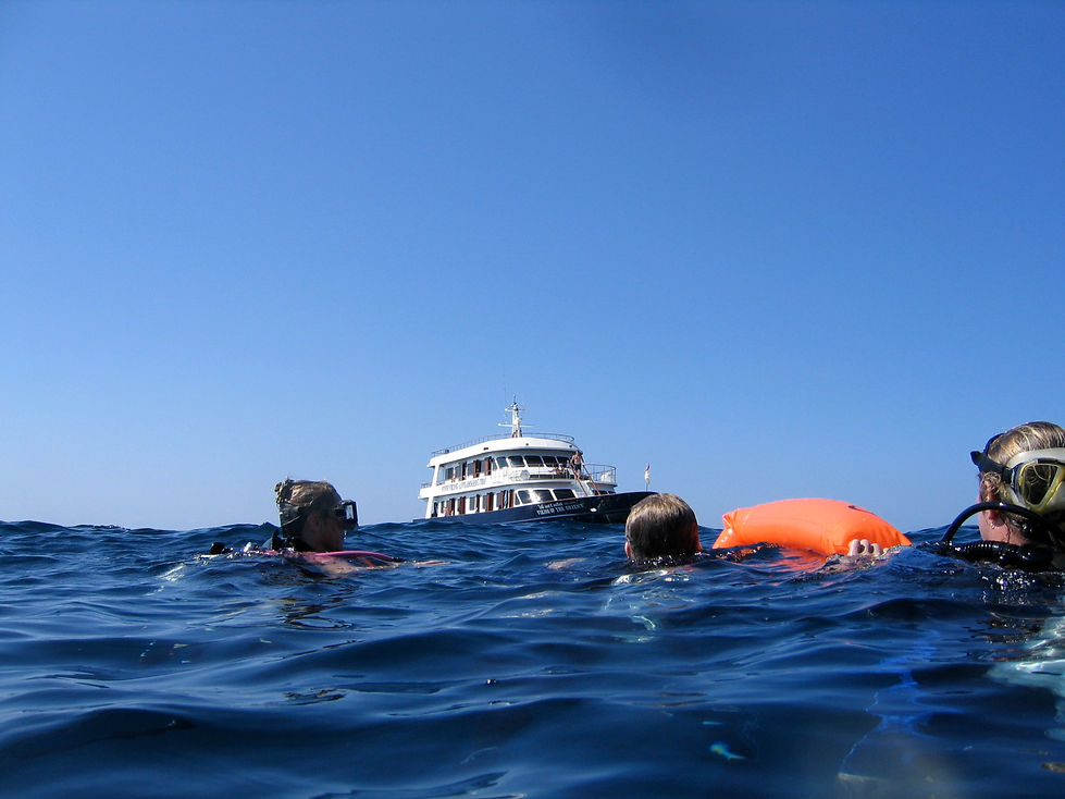 scuba diving at Similan Island