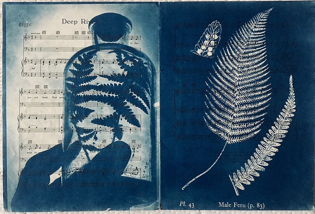 Two Ferns, cyanotype on vintage sheet music.jpg